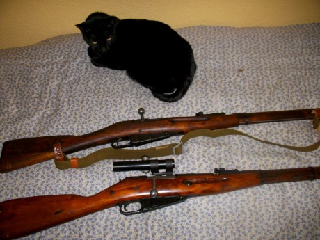 Soy de los que no gustan tunear armas históricas; pero pido consejo. Quizá la estética de un sniper mosin 41