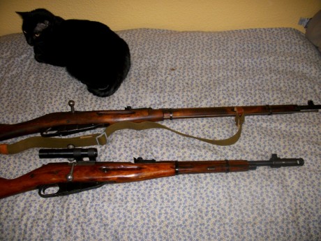 Soy de los que no gustan tunear armas históricas; pero pido consejo. Quizá la estética de un sniper mosin 40
