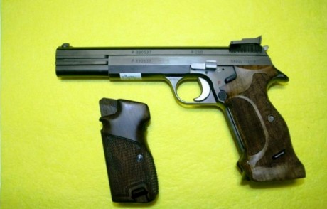 HOLA, AMIGOS

ME GUSTARIA SABER CUAL ES LA MEJOR PISTOLA 9MM PARA PRECISION 25M.

                    40