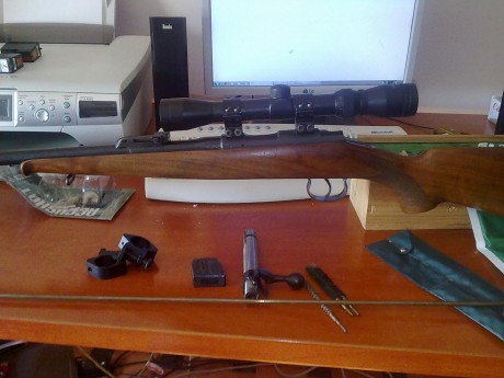 Buenas tengo esta carabina (BRNO II) y me gustaria ponerle un visor, para tirar a 50m y alguna vez esporadicamente 32