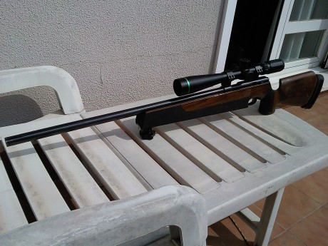 Tengo dudas entre un Leapers 8-32 x 56 y el Nikko Stirling Targetmaster 10-50 x 60. Mi presupuesto no 61