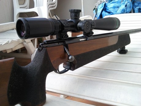 Tengo dudas entre un Leapers 8-32 x 56 y el Nikko Stirling Targetmaster 10-50 x 60. Mi presupuesto no 60