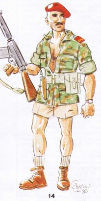 Hola, pues cumpliendo lo prometido, vamos a abrir un hilo sobre los mercenarios, básicamente en el s. 61