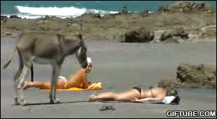 Pues abro este post para que coloqueis las imagenes animadas que vayais encontrando por ahi, no tienen 80