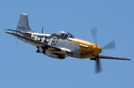 Pues eso, en este hilo pretendo deleitaros como amantes de los aviones de combate que sois muchos, con 132