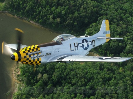 Pues eso, en este hilo pretendo deleitaros como amantes de los aviones de combate que sois muchos, con 22