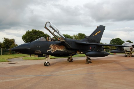 Pues eso, en este hilo pretendo deleitaros como amantes de los aviones de combate que sois muchos, con 22