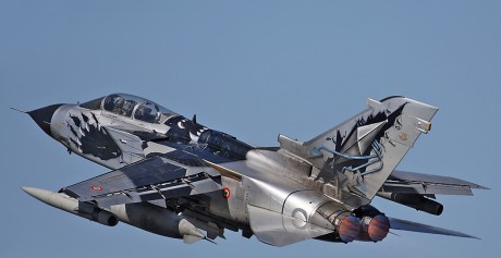 Pues eso, en este hilo pretendo deleitaros como amantes de los aviones de combate que sois muchos, con 21