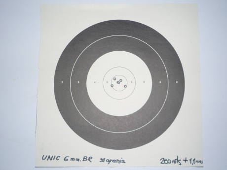 Hola . Estoy pensando en comprarme este rifle para utilizarlo a 200 o 300 m.(308 w.).He leido diferentes 40