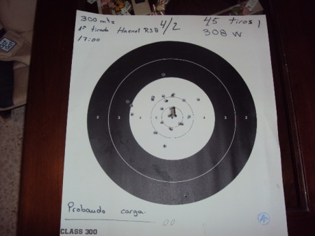 Hola . Estoy pensando en comprarme este rifle para utilizarlo a 200 o 300 m.(308 w.).He leido diferentes 51