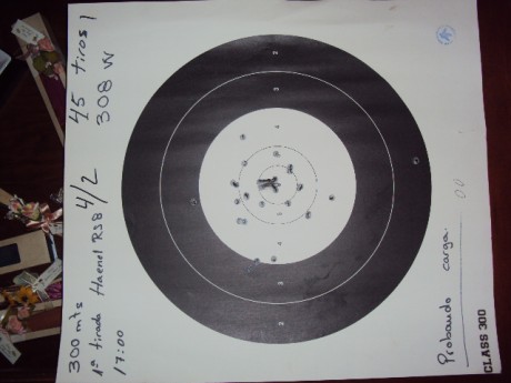 Hola . Estoy pensando en comprarme este rifle para utilizarlo a 200 o 300 m.(308 w.).He leido diferentes 50