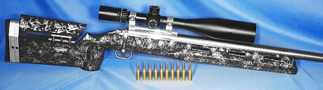 Hola . Estoy pensando en comprarme este rifle para utilizarlo a 200 o 300 m.(308 w.).He leido diferentes 70