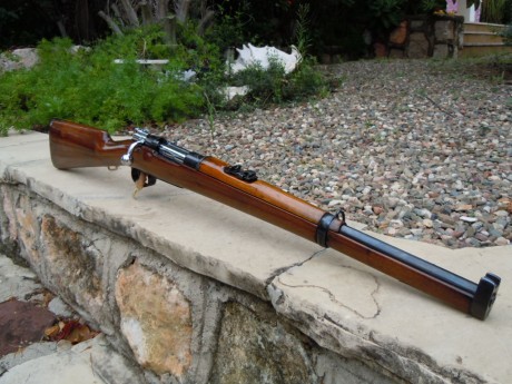 Lo primero deciros que no tengo ni idea sobre armas historicas.
 He encontrado esta foto y me ha gustado 00