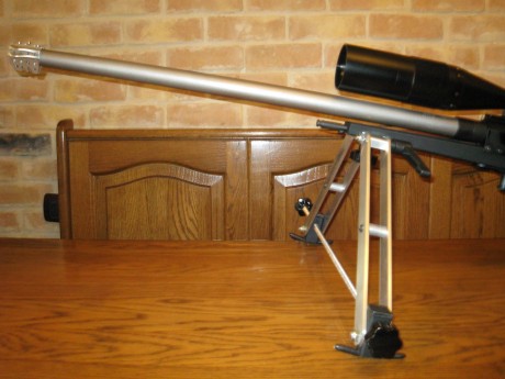 Hola . Estoy pensando en comprarme este rifle para utilizarlo a 200 o 300 m.(308 w.).He leido diferentes 171