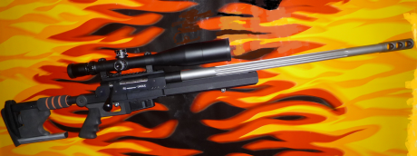 Hola . Estoy pensando en comprarme este rifle para utilizarlo a 200 o 300 m.(308 w.).He leido diferentes 150