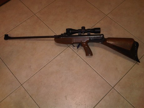 Hola, tengo una Gamo 68 (segunda versión del 1975), de cuando era peque (Ya ha llovido...)... La quiero 90