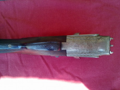 Buenas tardes, tengo unas pequeñas manchas de oxido dispersas en la parte inferior de la bascula de una 00
